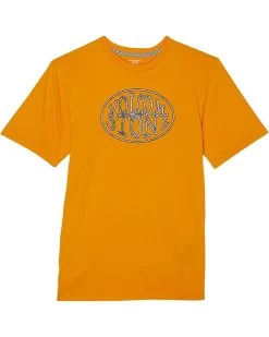 Volcom Kids Lifer Short Sleeve Tee (Big Kids)