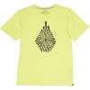 Volcom Kids Vibey Stone Tee (Big Kids)